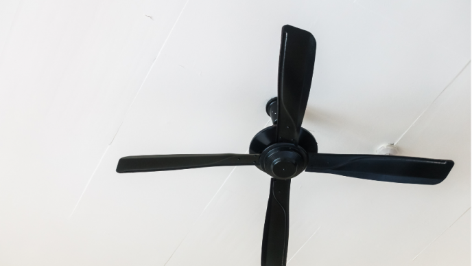 Ceiling fan black