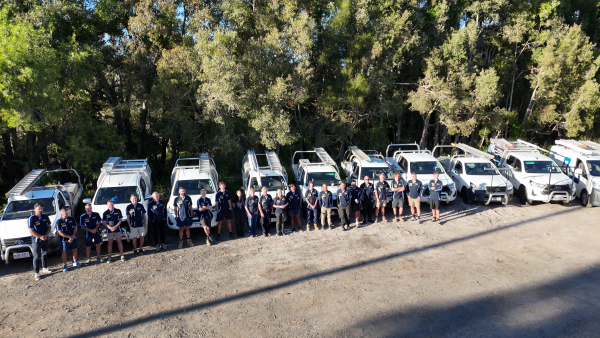The Bones Plumbing team standing in front of their branded vehicles on the Sunshine Coast.