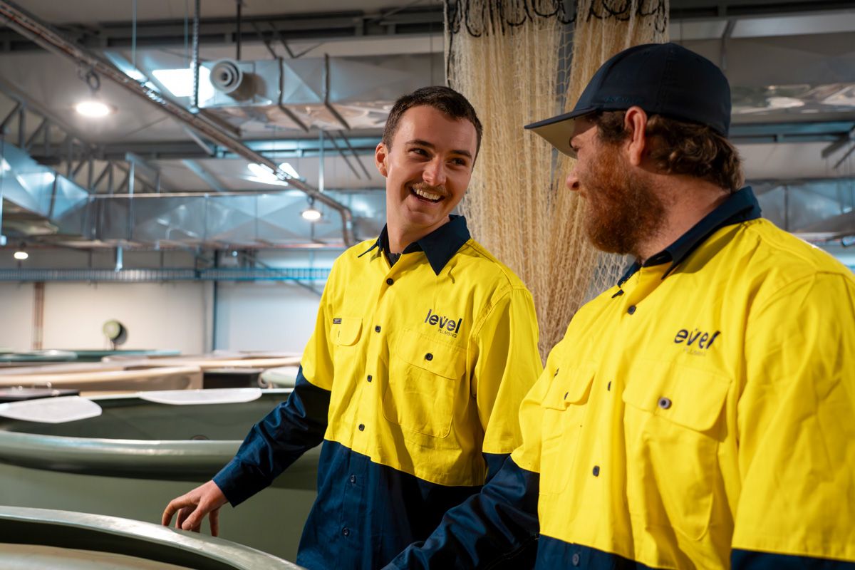Level plumbing and electrical technicians working together inside an industrial facility