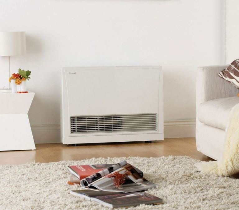 Plumbing Rinnai Gas Wall Heater