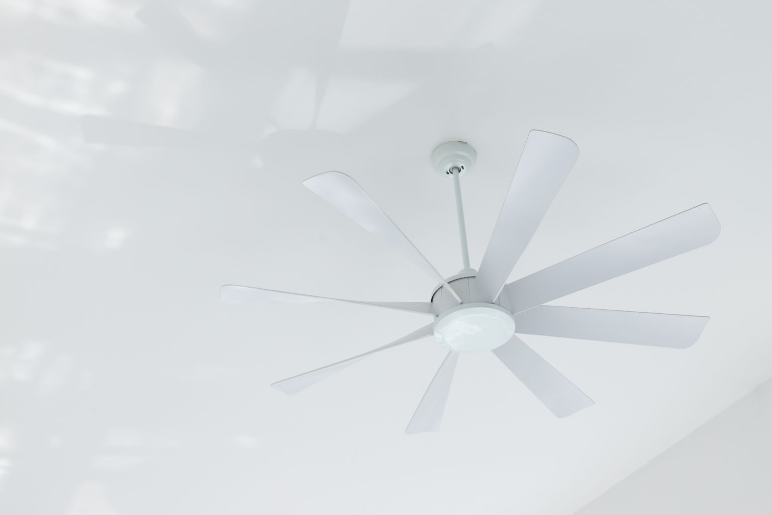 iStock 1312780293 v2