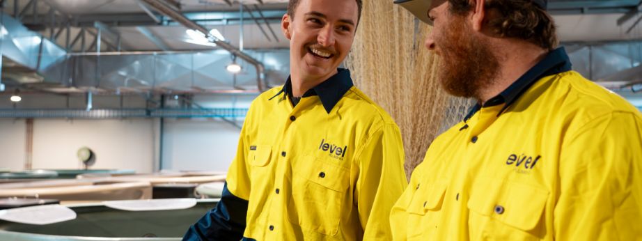 Level Plumbing Dubbo technicians inspecting commercial water systems for backflow prevention compliance