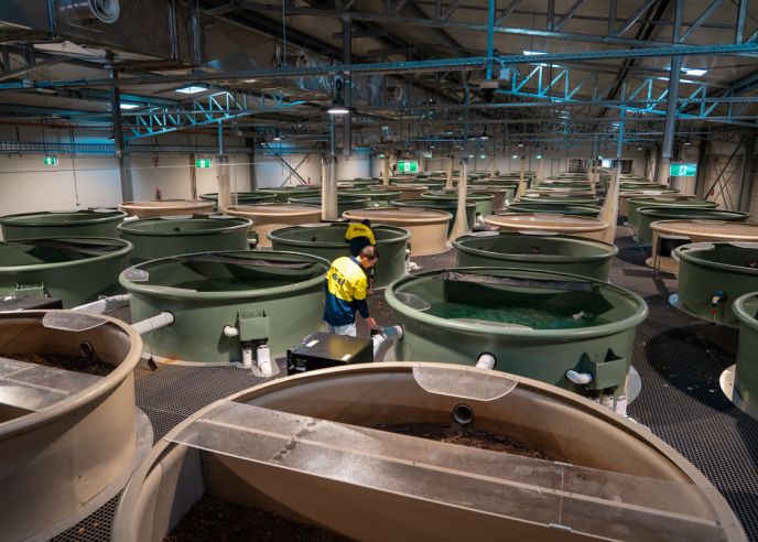 Level Plumbing Dubbo team inspecting specialised aquatic tanks at the Platypus Rescue HQ at Taronga Western Plains Zoo in Dubbo, NSW.