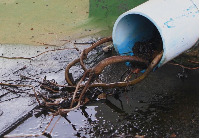 Plumbing Roots Blockage