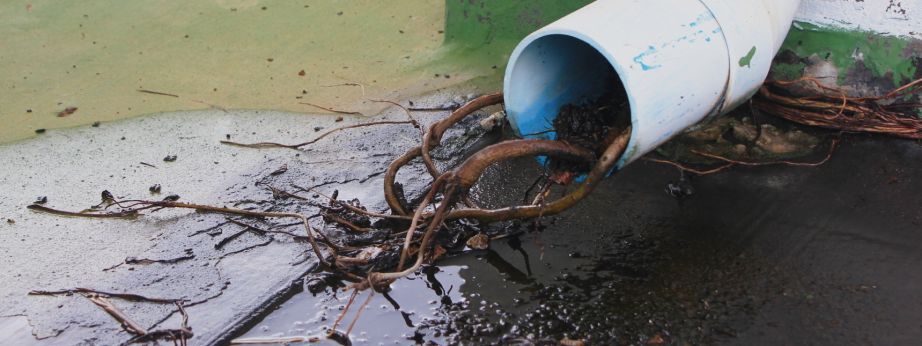 Plumbing Roots Blockage