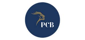 logo PCB